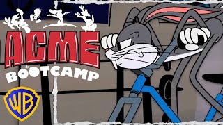 Looney Tunes |  ACME Bootcamp | #ACMEFools |  @wbkids