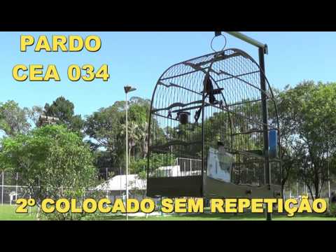 PARDO CEA 034 2º colocado sem repetição