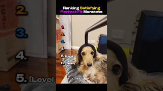 Ranking Satisfying Perfect Fit Moments