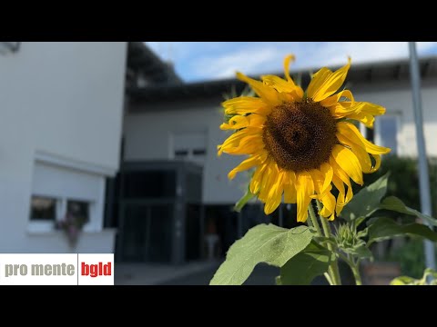 Das Schönste an pro mente ist das WIR - 25 Jahre promente Burgenland