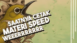 Download lagu Masteran Pleci Kekinian Materi Tembakan Speed Panjang  mp3