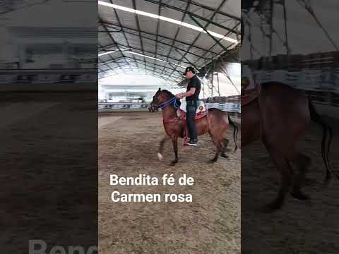 entrenamiento, feria de las flores,aldesilla río negro Antioquia