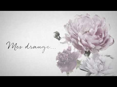 Evelina Sašenko - Įsimylėjėliai