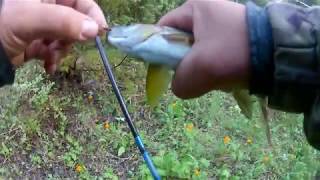 Мушки для ловли хариуса летом на таежных реках