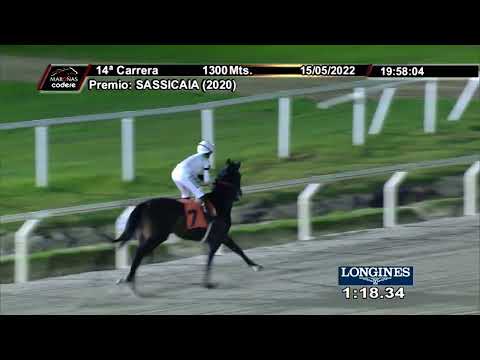 220515 c14 QUE GARUFA