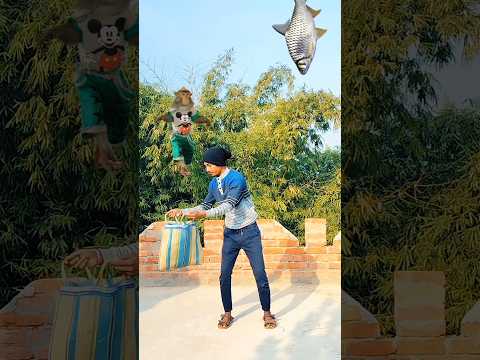 Domestic animal catching vs monkey & goat funny vfx magic video