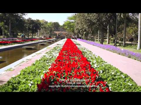 NDMC TALKATORA GARDEN FLOWER PART-1| Flower Garden at Talkatora Garden| Video by Diwan Singh Bisht