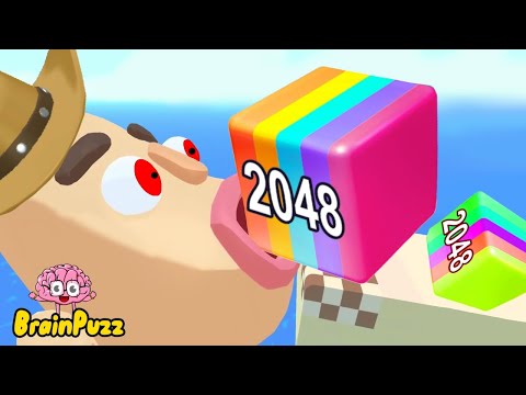 Jelly Run 2048 | Sandwich Runner - Best Cool Run Games All Level Gameplay  NEW APK UPDATE