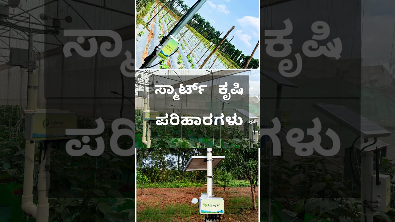 ಅಗ್ವೈಸ್ (AgWise) ಈಗ ಅಗ್ರಾಯನ್‌ (Agrayan) #smartfarming #irrigation #kannada #farming