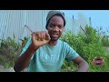 HASIRA KALI Nitawatusi INAGA LUNG WECHA MADEBE Wasanii Wachunga NG OMBE MADANGA DIDI OMBIZO