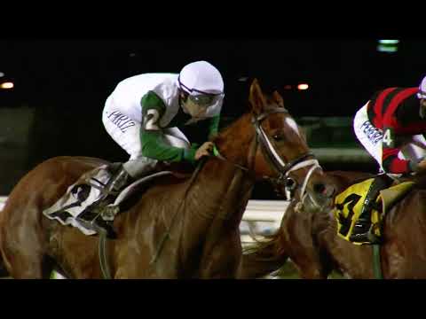 230506 c09 LATINA AVE