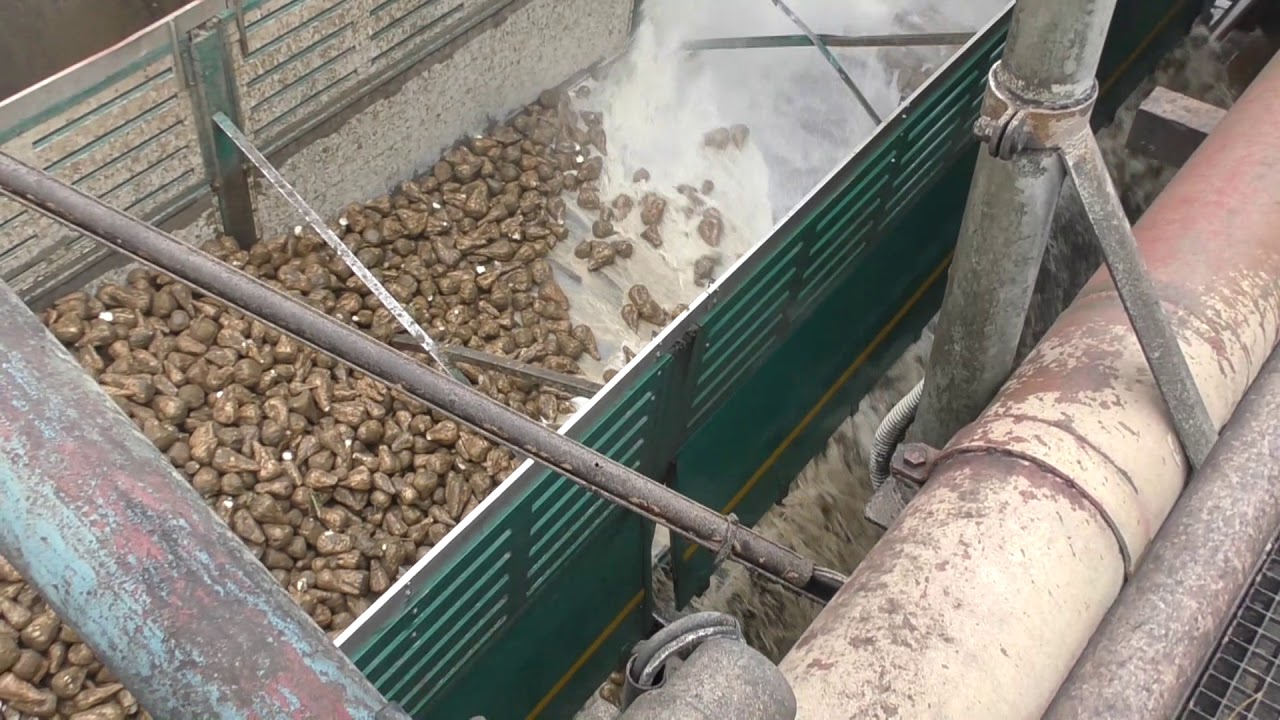 Zu Besuch in der Zuckerfabrik Wabern