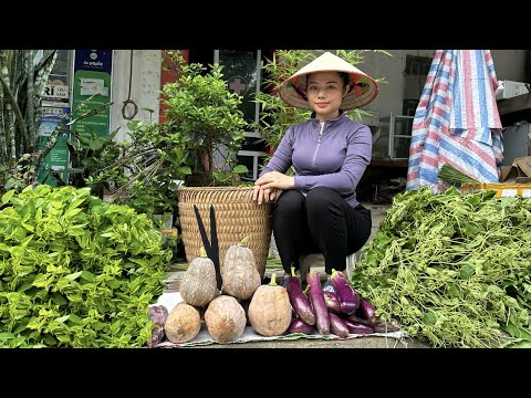 FULL VIDEO: 60 Days of harvesting squash, eggplant, longan, and grapefruit to sell at the market