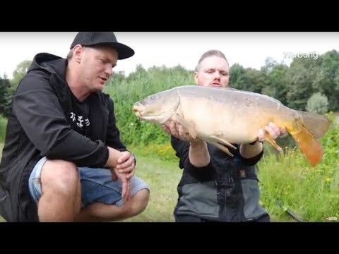 With Method Feeder for large non-predatory fish