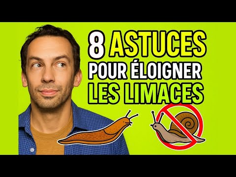 8 tips to keep slugs and snails away from your vegetable garden!