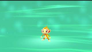 ポケモン 寝れないので