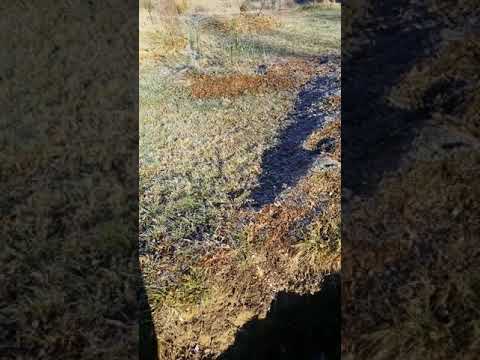 Microclimate in action