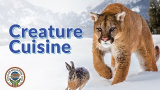 Varsity Tutors' StarCourse - Creature Cuisine: What’s on the Menu?Presented by Cougar Mountain Zoo