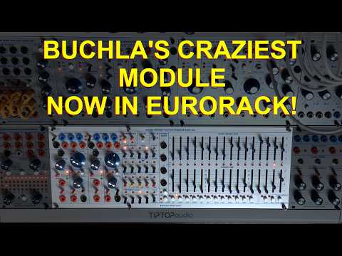 Buchla & Tiptop Audio Multiple Arbitrary Function Generator Model 248t MARF w/Stackcables (BPNYC) image 8