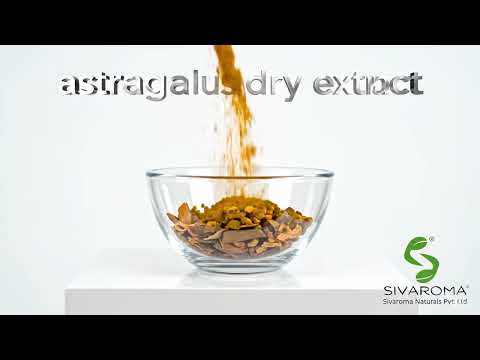 Astragalus Dry Extract