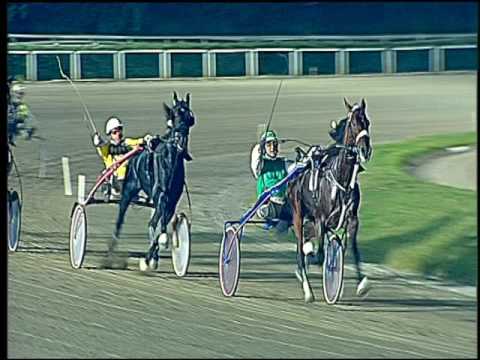 Trotto 04/11/2016 - 6ª corsa