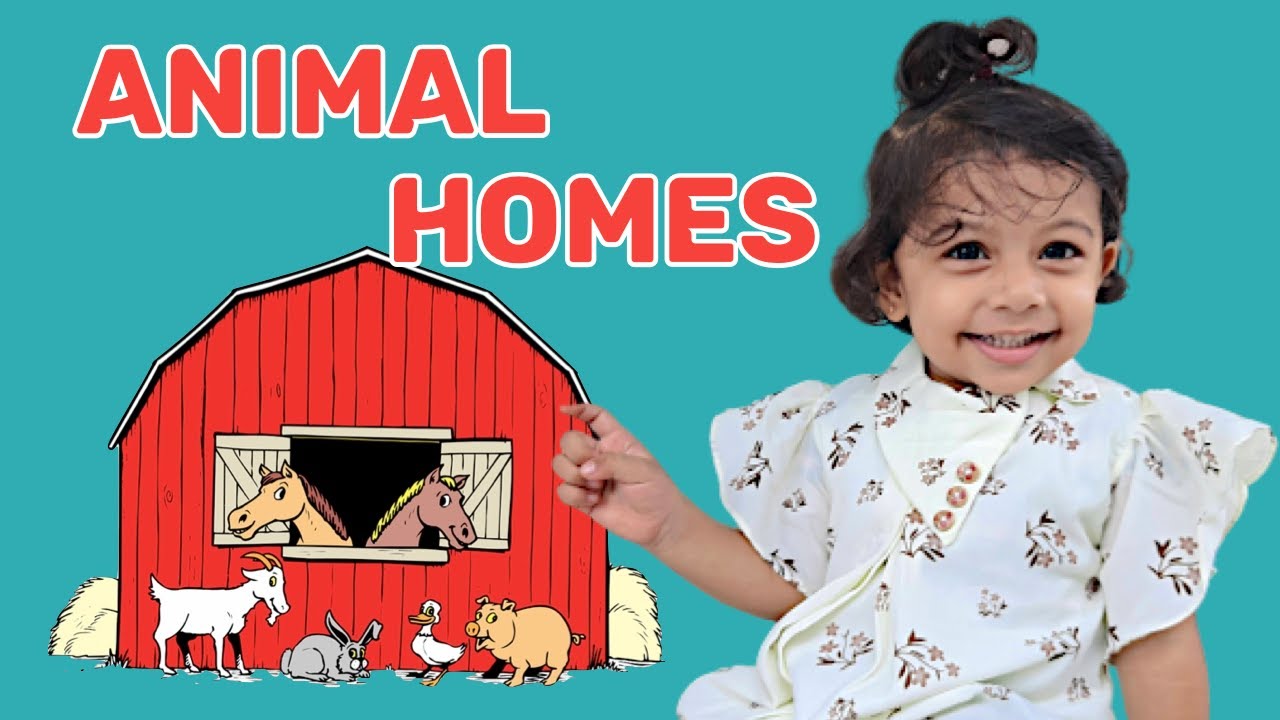 Animals and their homes for Kids | Nursery EVS Worksheets | EVS worksheet activity for Nursery class