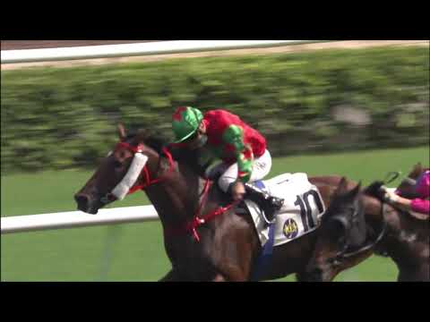 26/9/2021 (59) Infinite Power - Matthew Poon