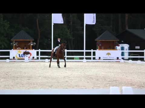 Classic Dancer CDN Bobrowy Staw