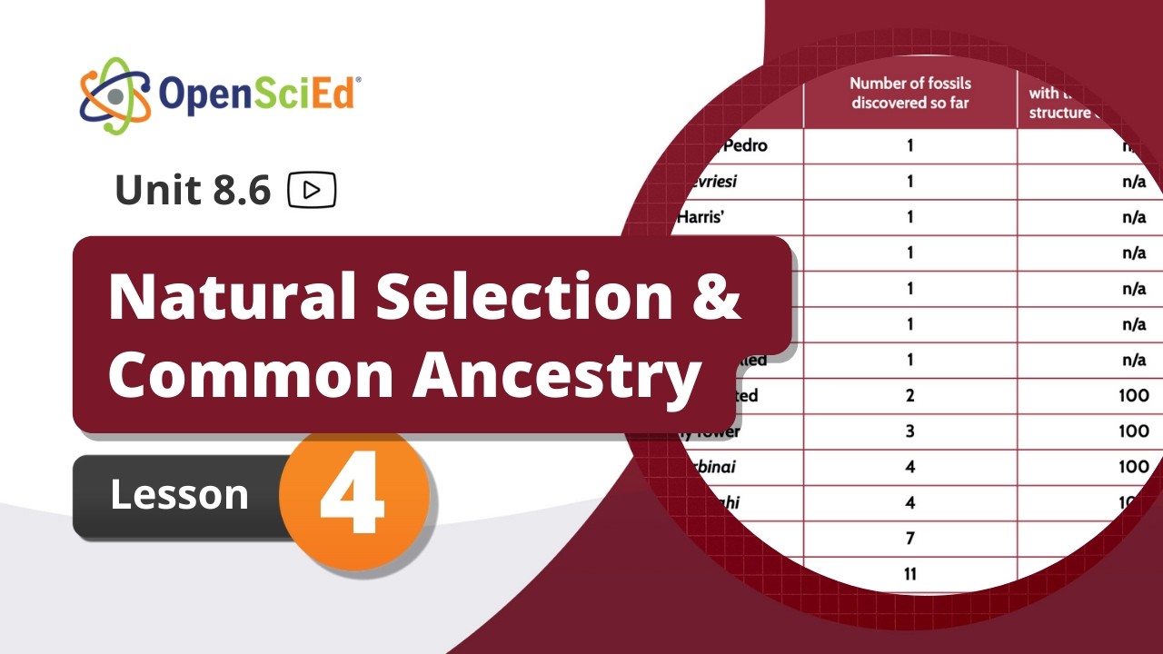 Unit 8.6 Lesson 4 Planning Video | OpenSciEd On-Demand Resources