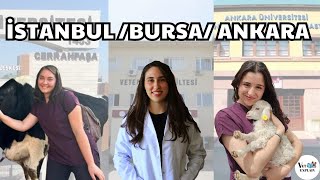 İstanbul, Bursa ve Ankara'daki Veteriner Fakültelerini Karşılaştırıyor