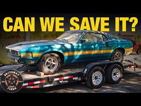 Thumbnail for This 1969 Shelby GT 500 has been sitting for 30 years. Can we get it driving again? | Driveway Finds by GAZ, SEAT, video, Car, Vehicle, Muscle car, vide