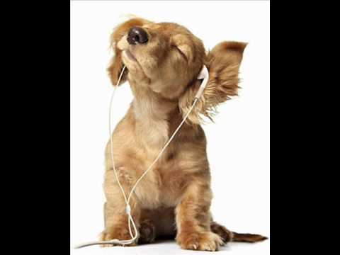 Dj shumilin- Roller Head(Klaas remix)