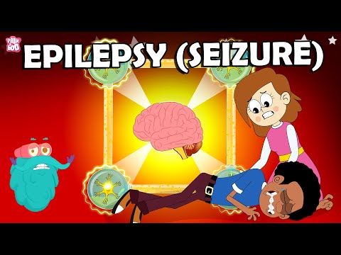 What Causes Epilepsy? | Seizures Explained | The Dr Binocs Show | Peekaboo Kidz