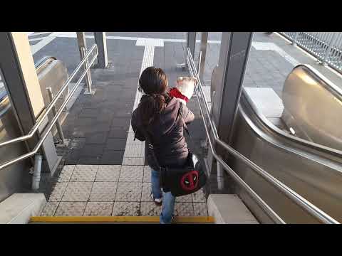 Wir Müssen Den Zug Kriegen Am Opladen Bahnhof