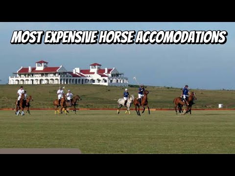 MOST EXPENSIVE HORSE ACCOMODATIONS