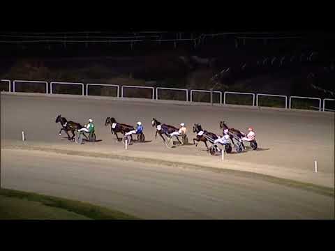 Napoli Trotto 18/08/2023 - 3ª prova di qualifica