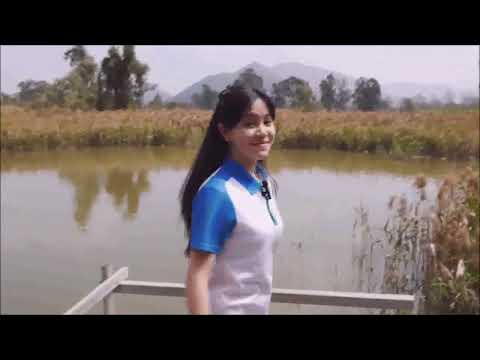 video-image