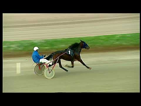 Trotto 27/11/2020 - 3ª prova di qualifica