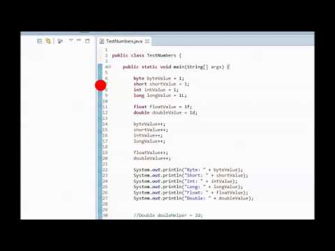 Java Tutorial 9 Example Of Primitive Types