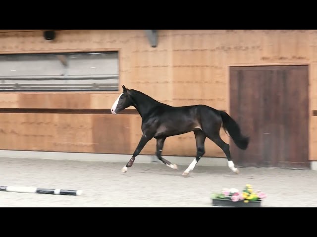 Gaits