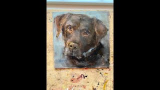 Finishing Chewy’s Portrait, Chocolate Lab, how to paint a dog’s portrait in oil, Painterly style.