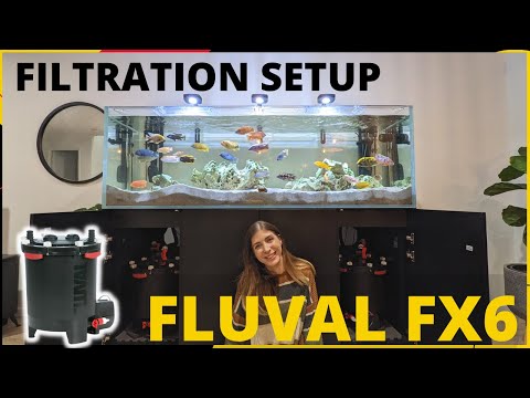 Fluval FX6 - My African Cichlid Tank Filtration, Cleaning and Maintenance