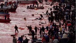 Te Pido La Paz - Jaime Murrell