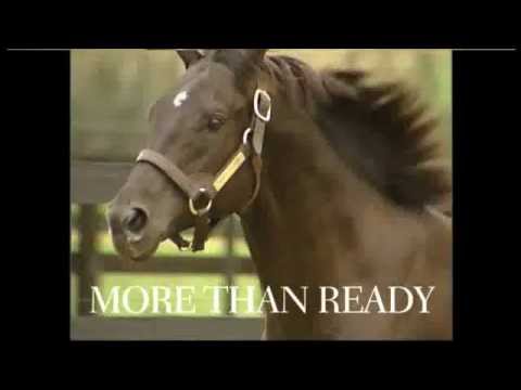 Vinery Stallions 2012