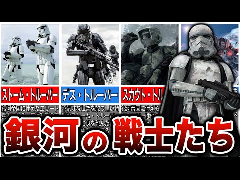 ストーム・クインテンについて詳しく解説