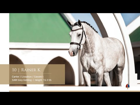 Lot 10 | Callaho Rainer K (Cartier x Lissabon x Cassini I)