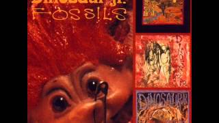 Dinosaur Jr - Fossils (full album)