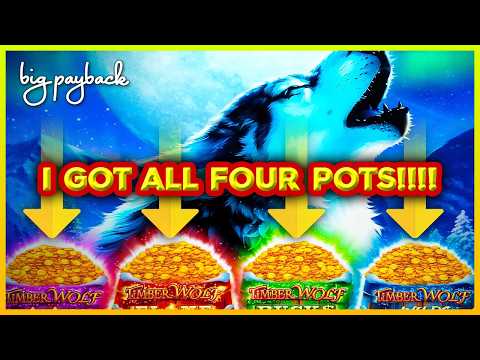 FOUR POT MEGA FEATURE! Timber Wolf Mega Power Slots!
