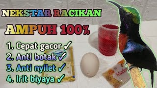 Download lagu HOW TO MAKE A HUMBLING BIRD NEKSTAR MIXTURE || NGOBRA AND QUICKLY GACOR mp3