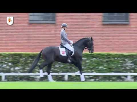 Fürst Belissaro 2015